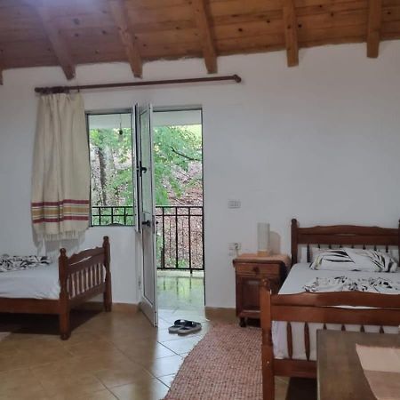 Bujtina Te Grima Otel Theth Dış mekan fotoğraf