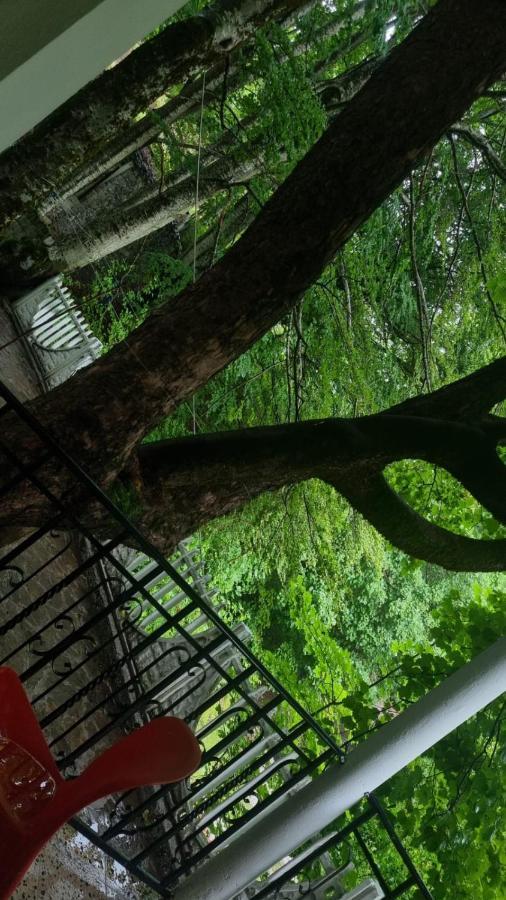 Bujtina Te Grima Otel Theth Dış mekan fotoğraf