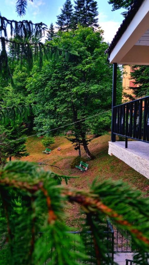 Bujtina Te Grima Otel Theth Dış mekan fotoğraf
