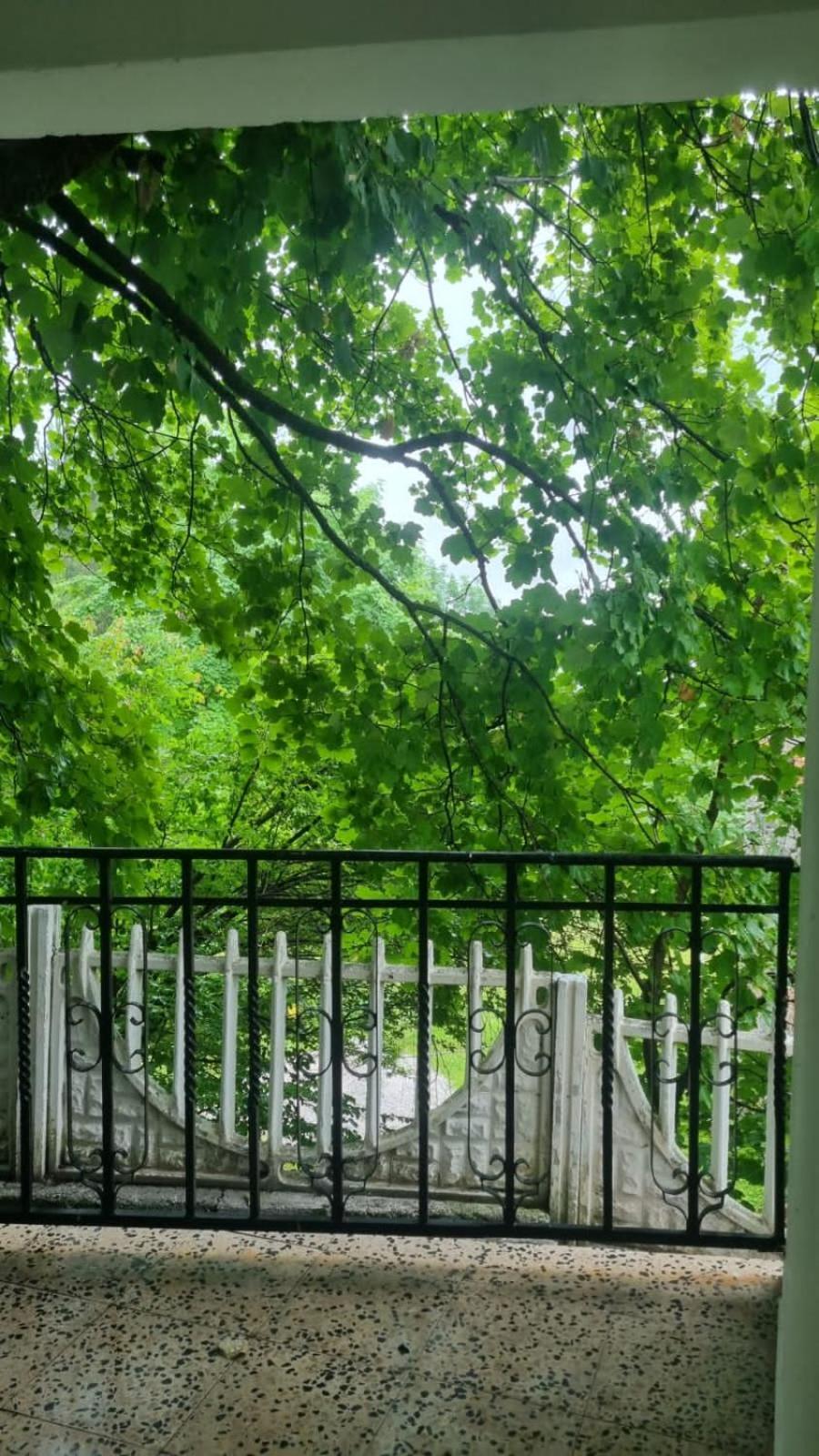 Bujtina Te Grima Otel Theth Dış mekan fotoğraf